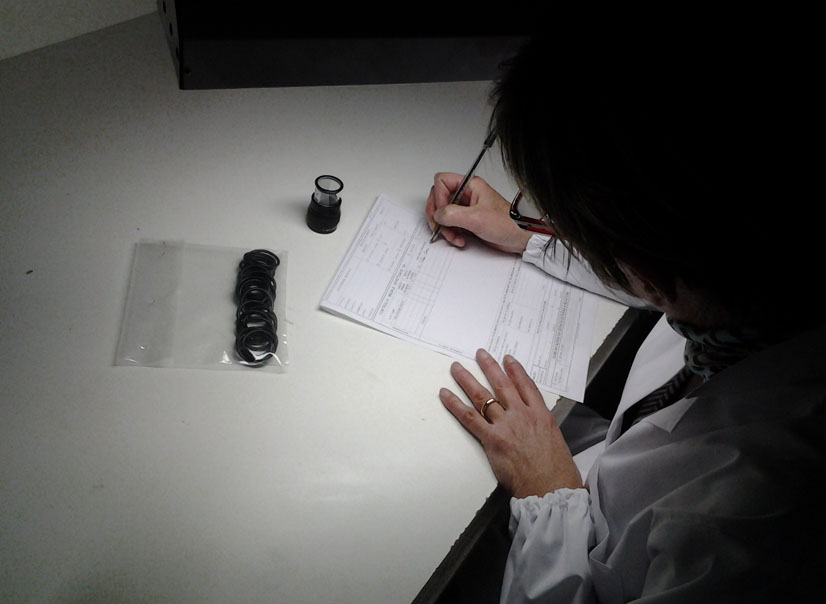 Cernita guarnizioni CABITALIA