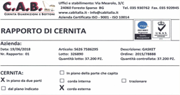 Cernita guarnizioni